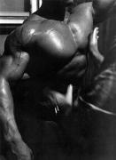 Arnold_20Schwarzenegger_13332.jpg