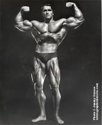Arnold258_12.jpg