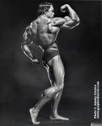 Arnold258_58.jpg