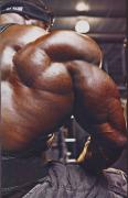 39ae2_Joel_Stubbs_back.jpg