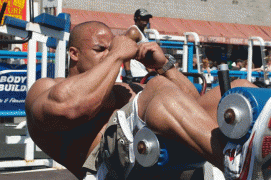 65.gif