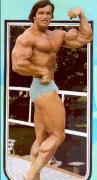 dvd_arnold.jpg