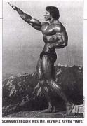 arnold.jpg