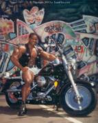 Flex_Wheeler_160.jpg