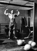 FrankMcGrath_sun_D_001.jpg