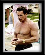 1324_300269722_arnold_schwarzenegger_44_H153641_L.jpg