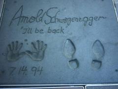 Arnold_Schwarzenegger_ж_3.jpg
