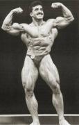 61707Bannout04.jpg