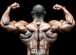 42664419_bodybuilder.jpg