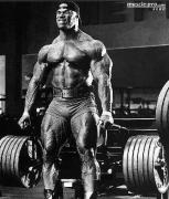 Kevin_Levrone042.JPG