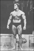Arnold_Schwarzenegger_725.jpg