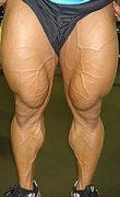 a04f1_legs.jpg