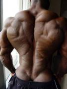 59748Dexter_Jackson_RIPPED_BACK__med.jpg