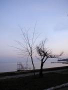 Untitled_7small.jpg