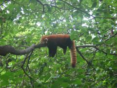 Picture_295.jpg