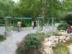 Picture_353.jpg