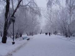 P1060015_1.jpg