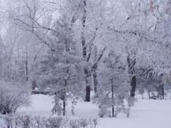 P1060017_1.jpg