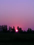 DSCN0199.jpg
