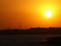 P1000401.JPG