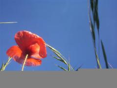 100_7276.JPG