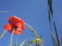 100_7276.JPG