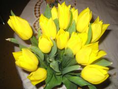 20050406_0001.JPG