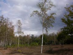 100_1824.JPG