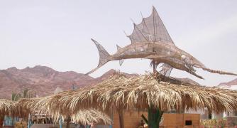DSCN3140.jpg