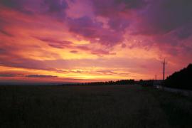 IMG_1229.jpg