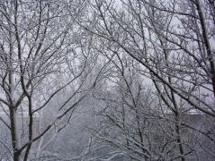 100_9964_resize.jpg