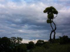 100_1665.JPG
