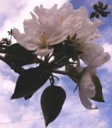 DSCN3275.jpg