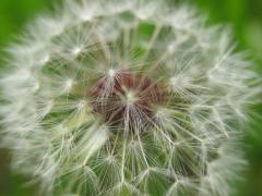 IMG_0014.JPG