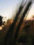 IMG_0144.jpg