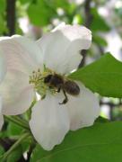 IMG_0436.jpg