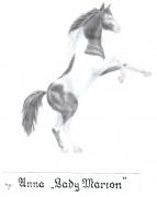 konik.jpg