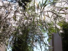 100_1043.jpg