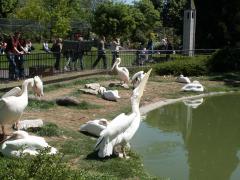 PICT0226.jpg