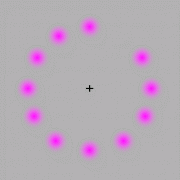 2005_2a.gif