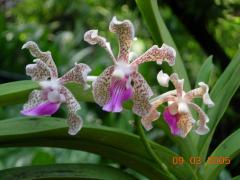 DSCN0580_resize.JPG