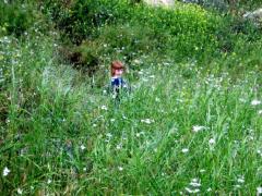 IMG_1522.JPG