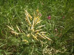 100_0994_resize.jpg