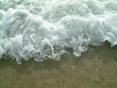 DSCF0024_1.jpg