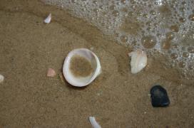 IMG_0439_copy.jpg
