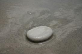 IMG_0445_copy.jpg