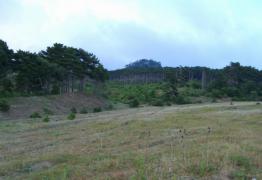 __________________CIMG0034.JPG