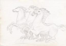 img082s.jpg