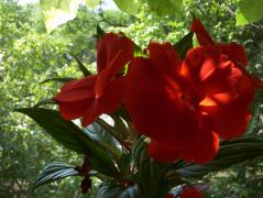 100_8297.JPG