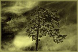 IMG_2119_2.jpg